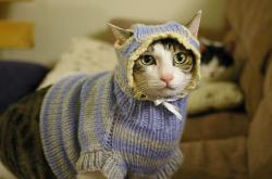 开云体育app-跨越现实的终场哨，当步行者力克马刺，约基奇于何处关键制胜？