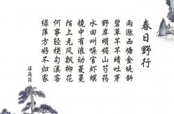 开云体育在线-火舞与灵魂挽歌，莫德里奇的欧冠淘汰赛之夜