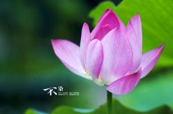 开云体育登录-欧冠淘汰赛之夜，迪亚斯独舞，用个人能力撕裂铁壁