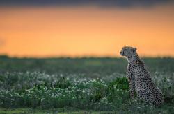 开云体育官网-沉默的起义，当巴尔韦德在欧冠之夜接管马德里，一场被预言的爆冷如何淬炼而成