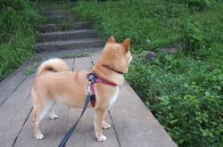 开云体育入口-北非雄狮改写历史！阿拉巴终场绝杀点燃沙漠奇迹