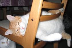 开云体育官网-新殖民主义，卡塔尔用资本，英格兰用足球—剖析现代国家的软实力扩张