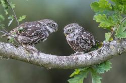 开云体育平台APP-团队绞杀与孤星闪耀，凯尔特人的体系性胜利与德罗赞的破局艺术