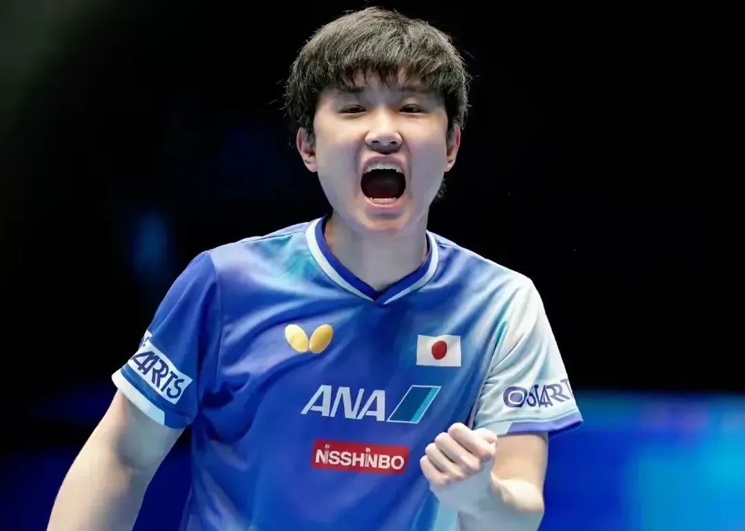 包含波兰乒乓球队爆冷英国乒乓球队，张本智和统治全场的词条