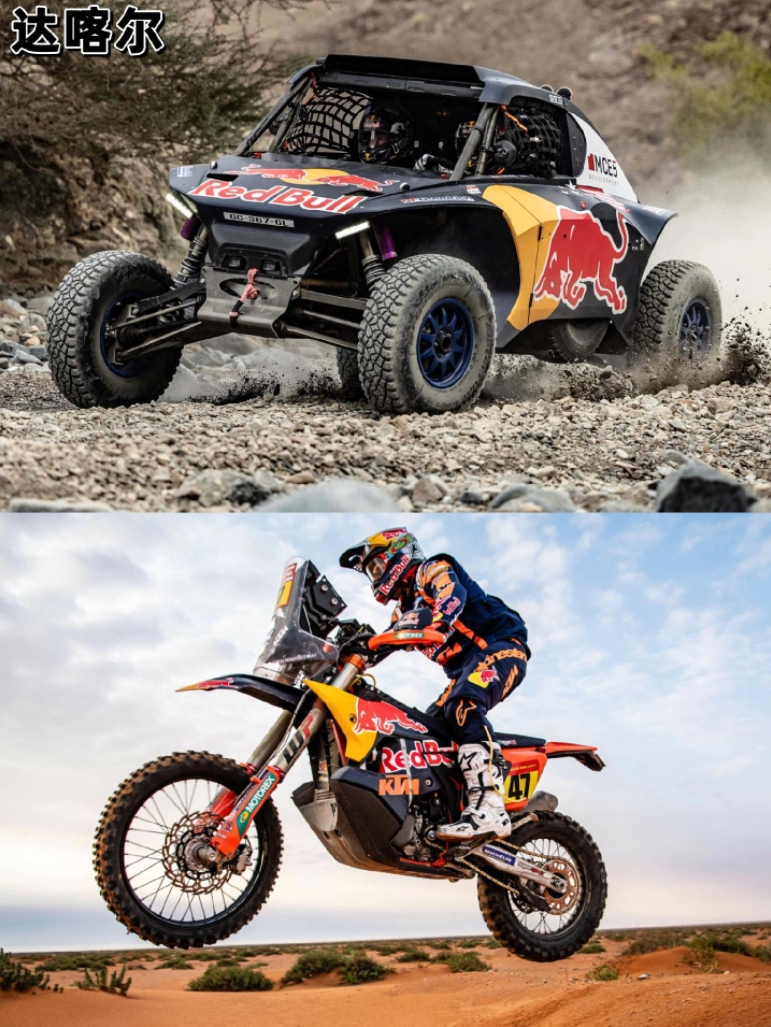 包含哈斯车队碾压红牛车队,诺里斯扛起全队的词条 包含哈斯车队碾压红牛车队,诺里斯扛起全队的词条