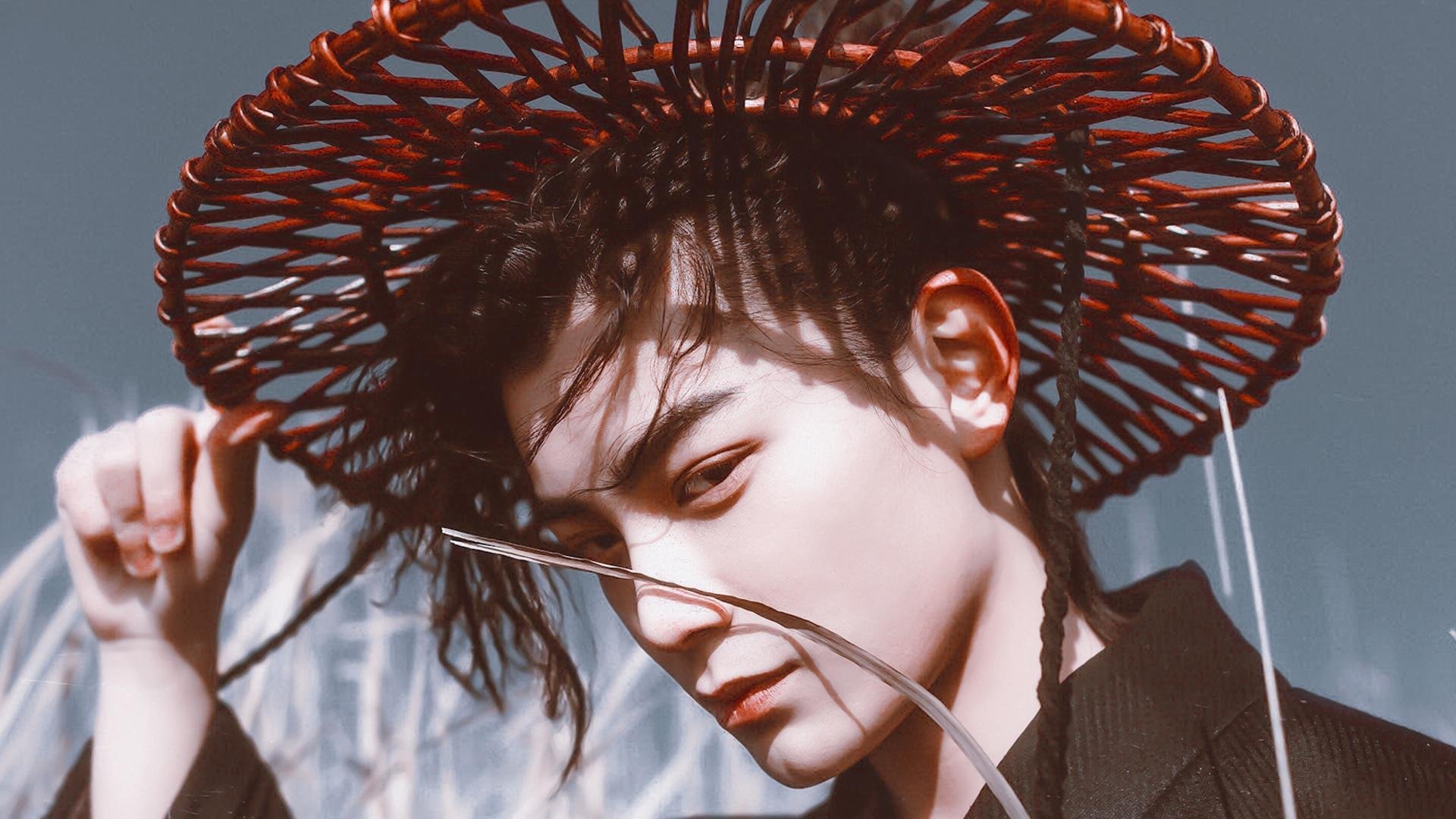 东方力量的双重奏,中国军团完胜德意志,戴资颖羽坛惊艳四座