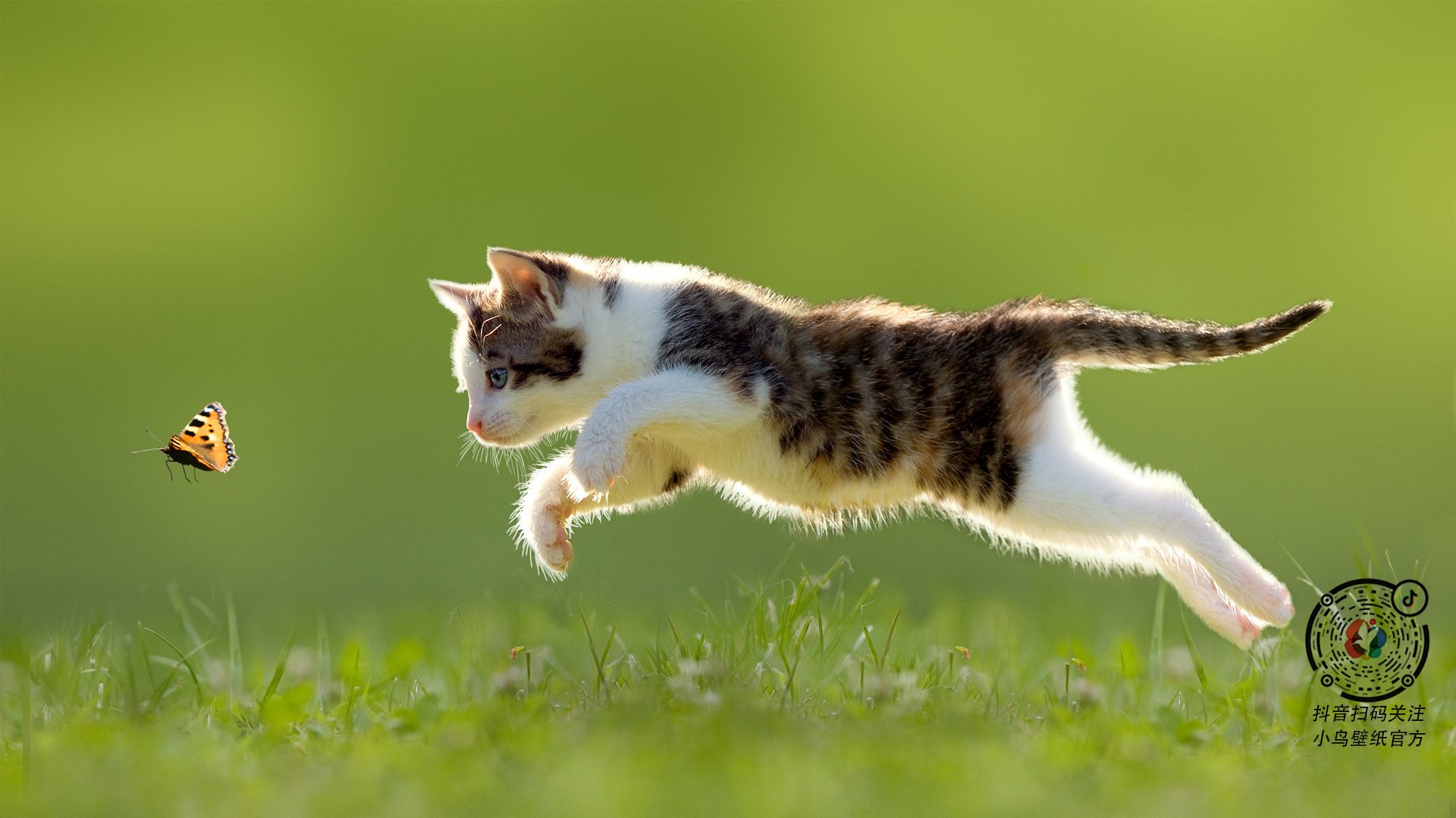 东南亚羽坛巅峰鏖战，印尼队力克马来西亚队，辛杜统治全场展王者风范