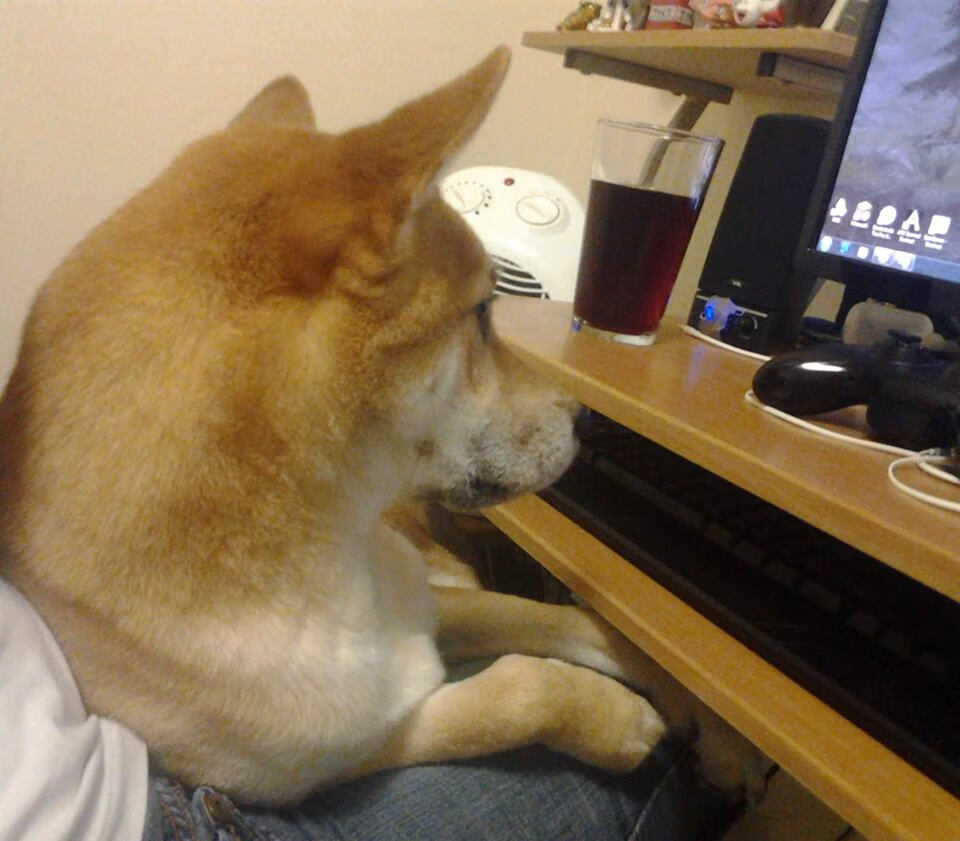 亚洲羽坛格局裂变，印尼团体掀翻韩国巨人，戴资颖用统治力书写新时代