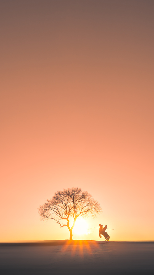 利刃封喉！独行侠压哨绝境逆转，克莱·汤普森化身达拉斯的关键先生