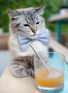 马克西化身时间魔法师!0.8秒极限绝杀,火箭腾空击穿深圳铁幕