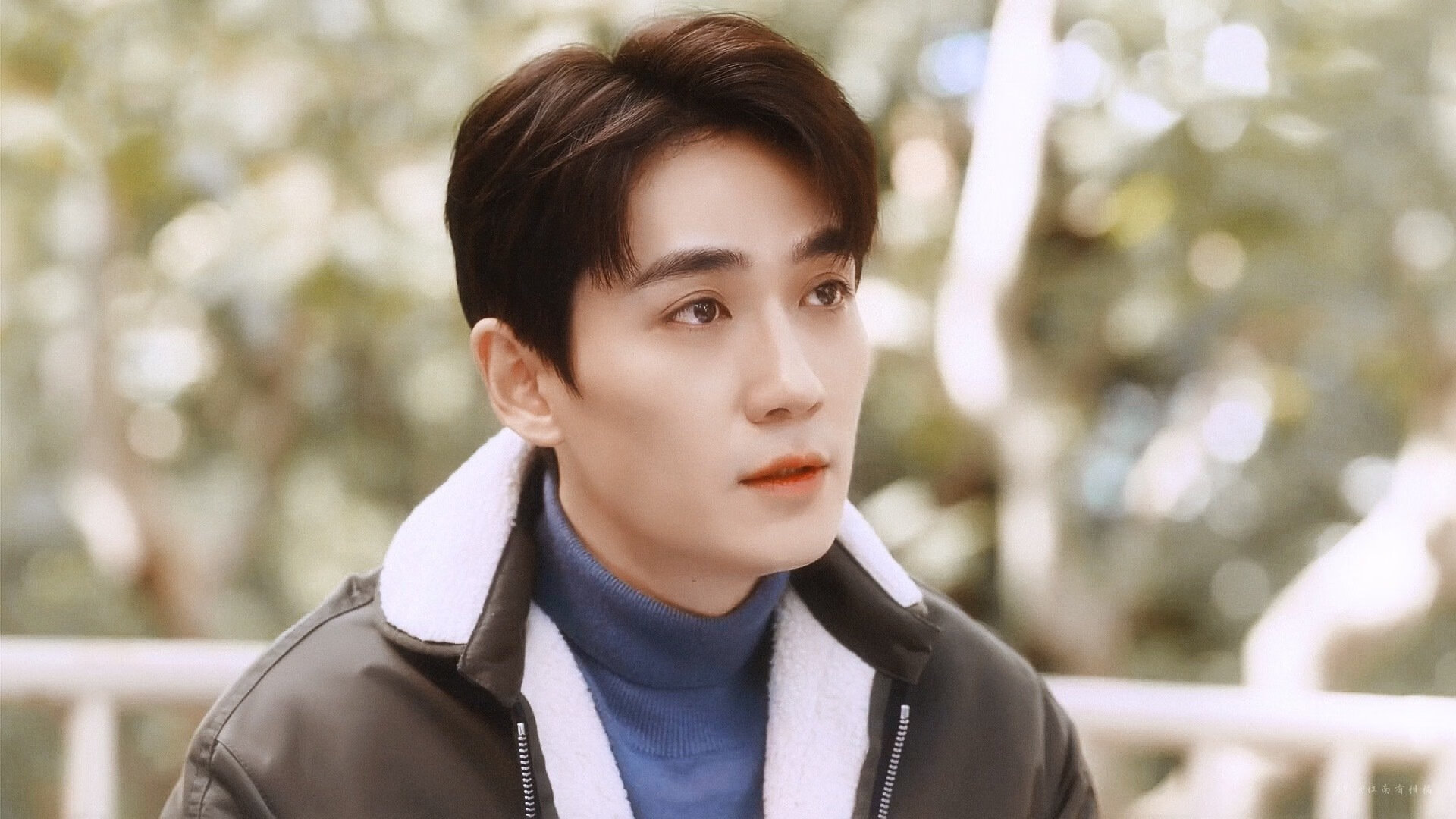 中锋的基因被改写之夜,当武切维奇用三分雨冲垮篮下铁壁