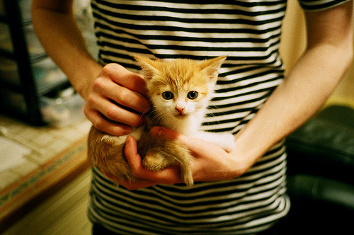 橙衣风暴鏖战塞维利亚之夜，托马斯·穆勒如何化身胜负手