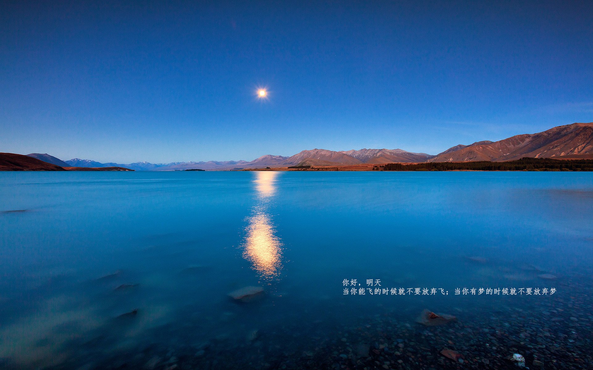 德甲争冠焦点战,塞内加尔力量全面压制芬兰防线,国际球星定胜负