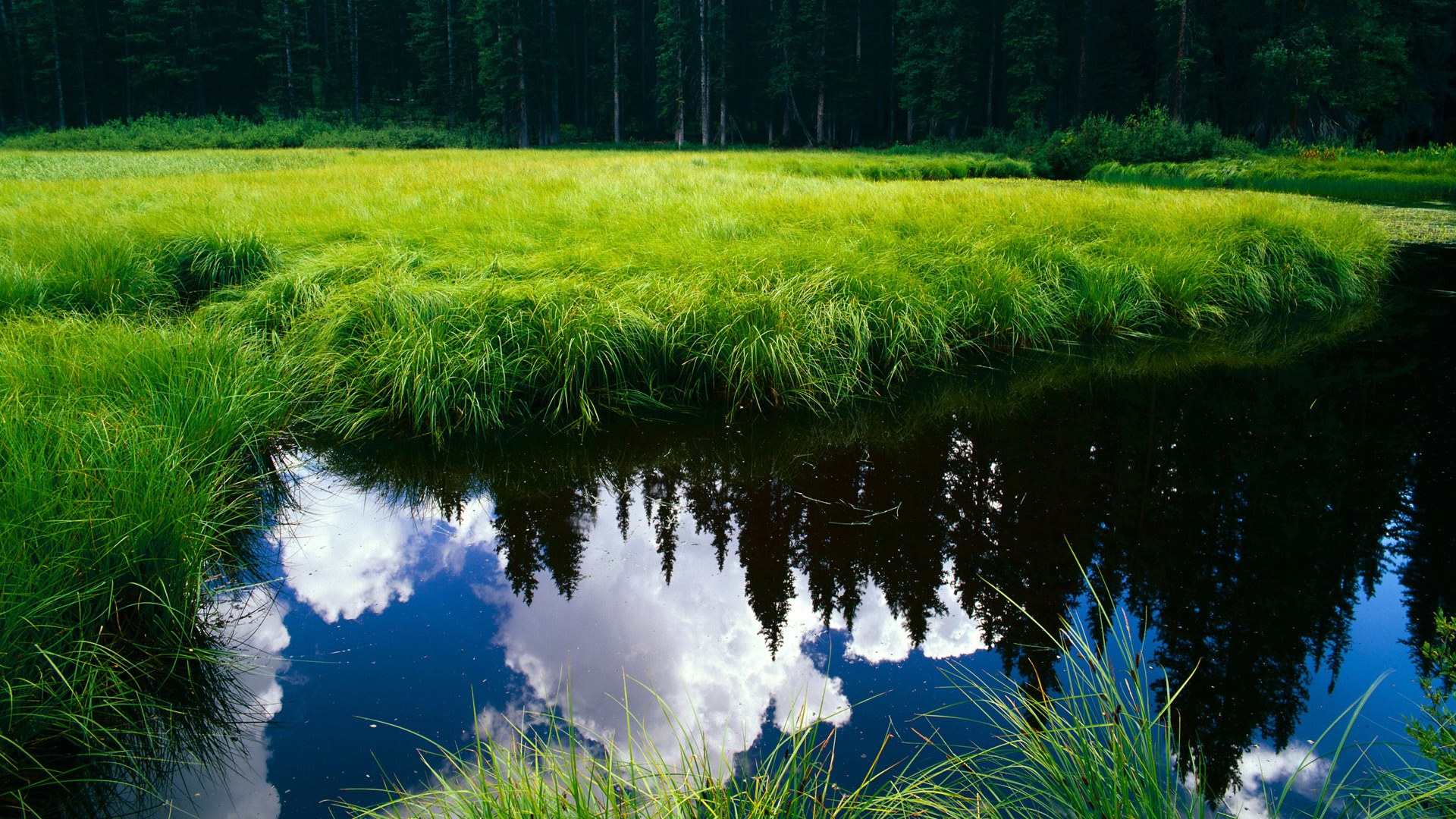 神的夜晚,凡人的黎明,伦纳德攻防统治下的另一种篮球真理