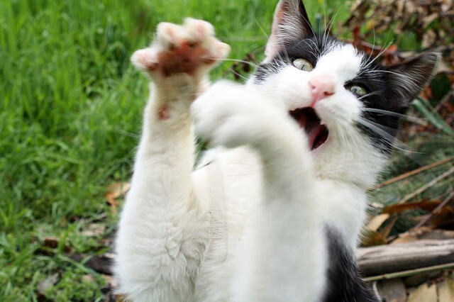 意外逆袭之夜！他被集体看衰却一人拯救委内瑞拉，希腊众神在他面前黯然失色