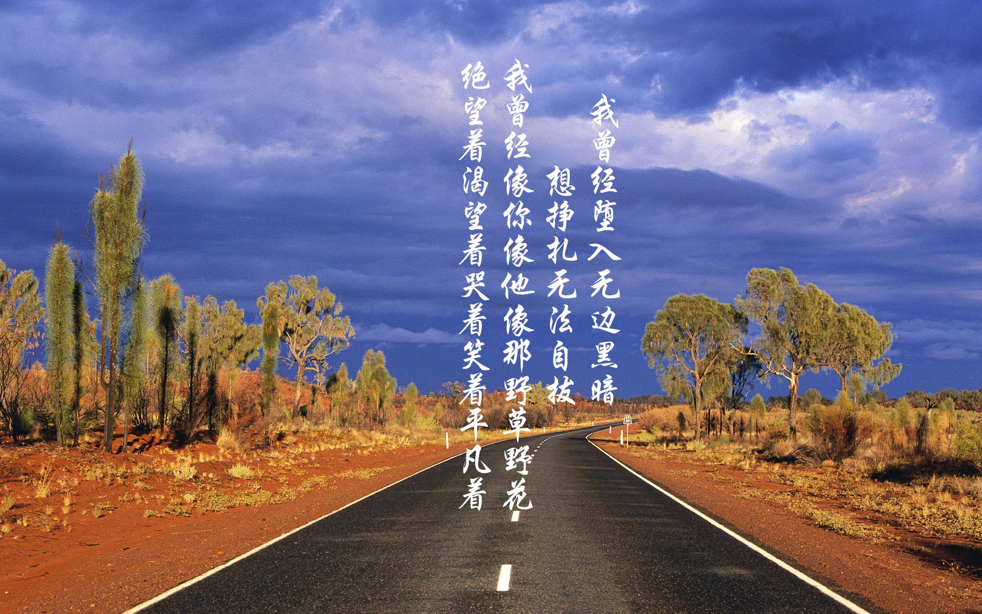 当非洲雄狮撕裂北非铁骑，一场碾压式胜利背后的世界杯争冠启示录