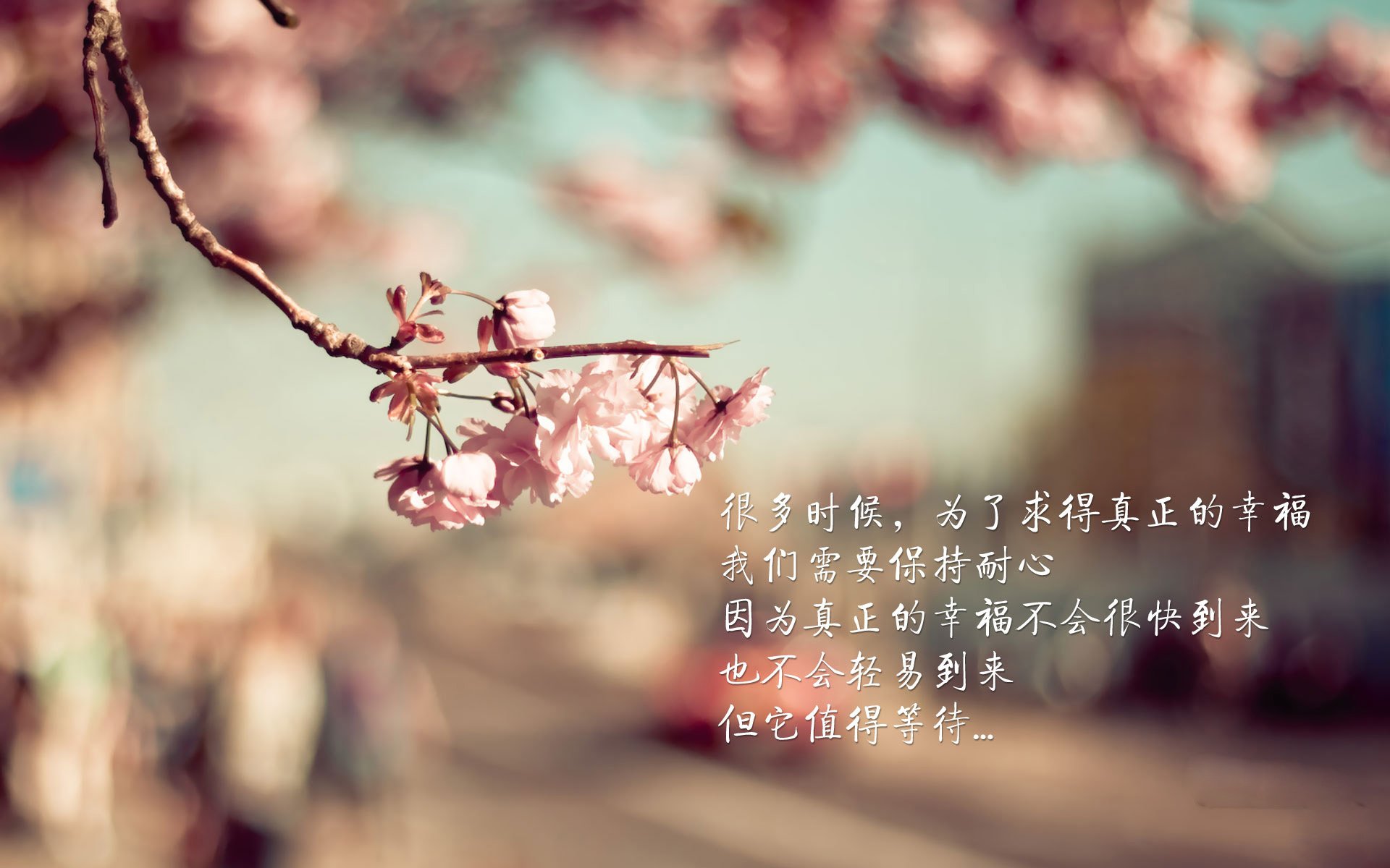 2026世界杯F组强强对话，德意志战车碾压冰岛，阿方索·戴维斯成最亮那颗星