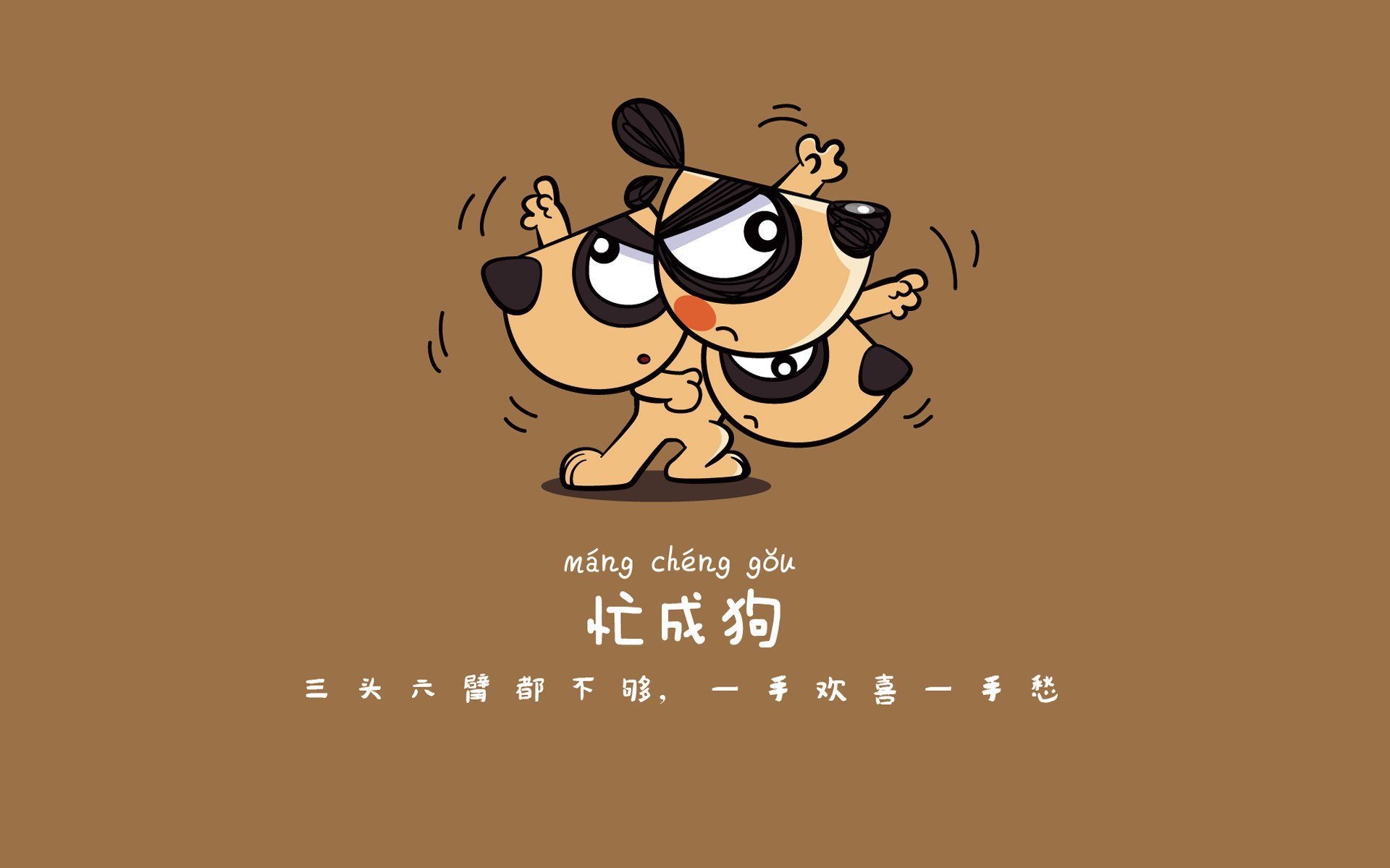 致命一击与替补奇兵，2026世界杯B组，伊朗如何用唯一性撕裂波兰